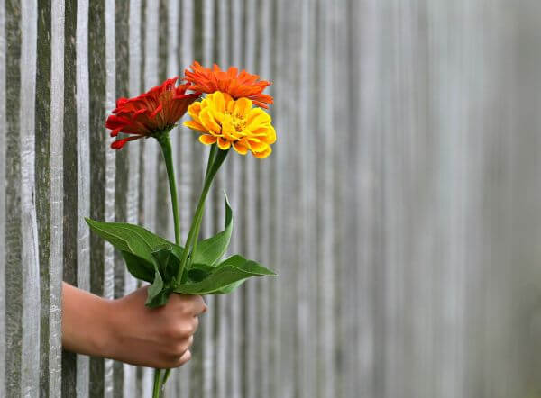 ¿Cuál es la fecha de San Valentín este año?