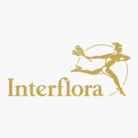 Interflora Elche